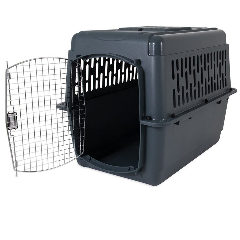 Aspenpet Pet Porter Kennel Dog Crate Tips for Training a Dog